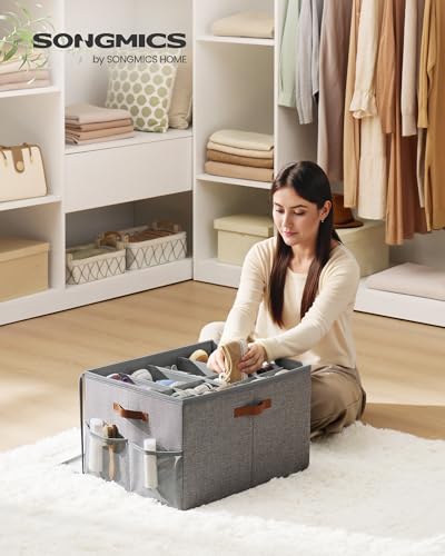 Shoe Organizer for Closet (2 Count)