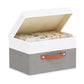 Storage Bin with Lid