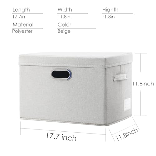 Large Collapsible Storage Bins with Lids [3 (3 Count)