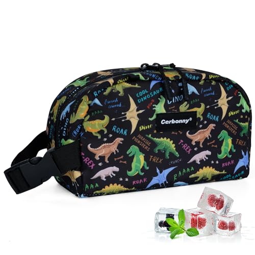 Small Cooler Bag