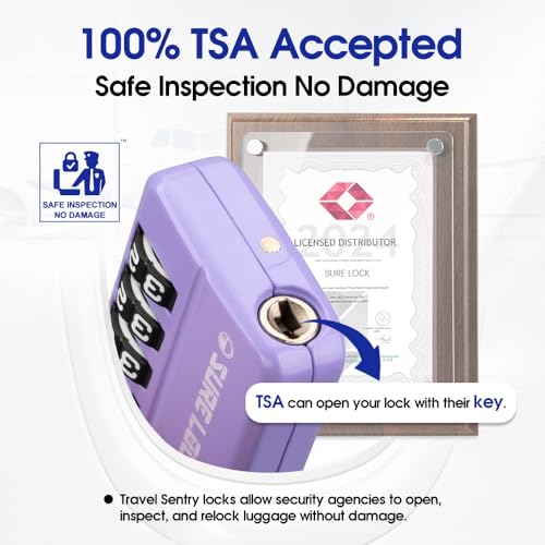 TSA Approved 4 (2 Count)