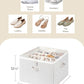 Shoe Organizer for Closet