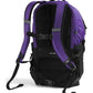 Borealis Commuter Laptop Backpack