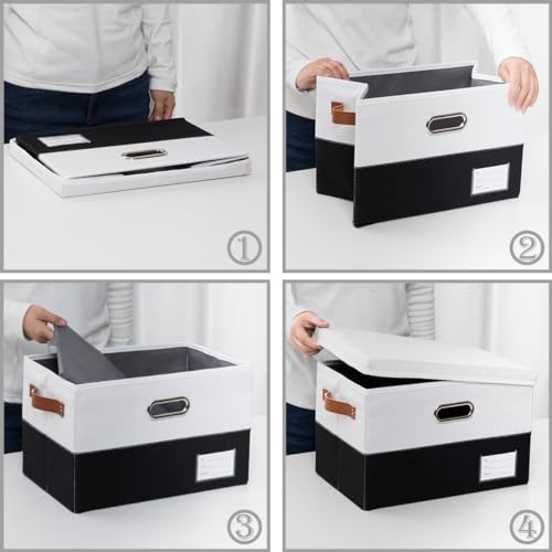 Foldable Storage Bins with Lids [3 (3 Count)