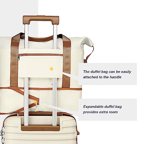 Carry On Luggage 20 Inch Expandable Suitcase with Spinner Wheel (3 Count)