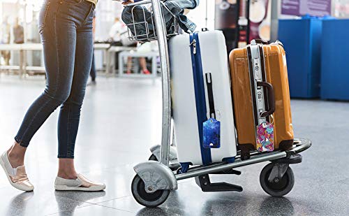 Luggage Tags Privacy Cover ID Label for Travel Bag Suitcase (2 Count)