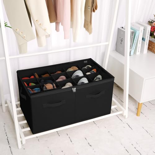 Shoe Organizer for Closet