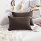 Toddler Pillows (2 Count)