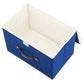 Collapsible Storage Boxes (2 Count)