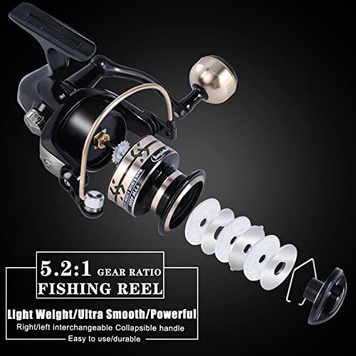 Fishing Pole Kit