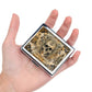 Cute and Stylish Metal Pill Box (8 Count)