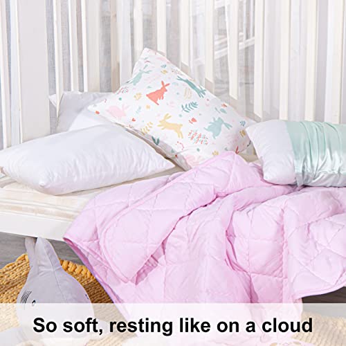 Cotton Toddler Pillows (2 Count)