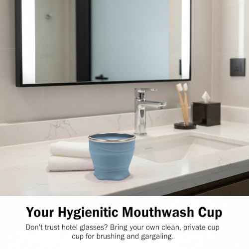 Collapsible Cup with Lid