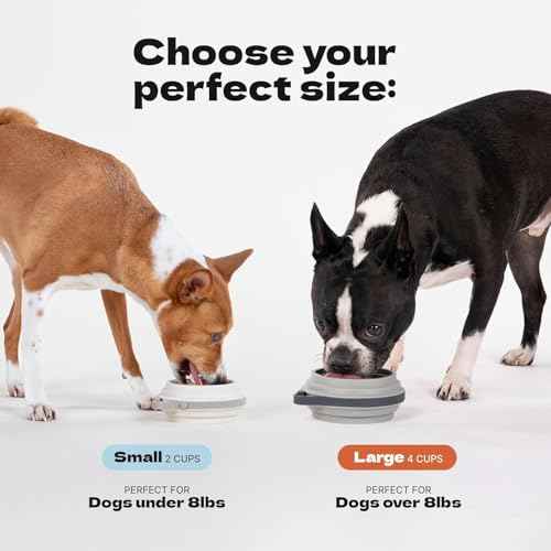 Nomad Small Collapsible Travel Dog Bowl