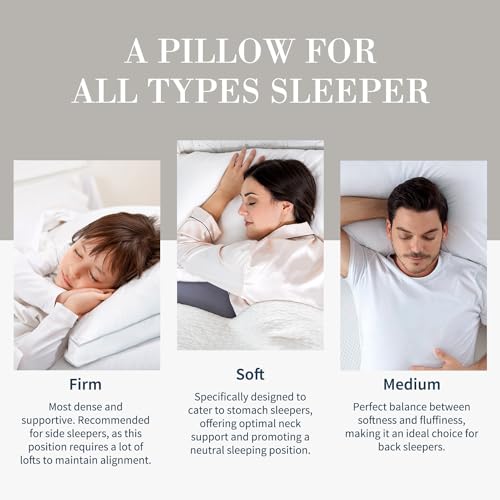 Luxury Feather Down Pillow Standard Queen Size Set of 2 (2 Count)