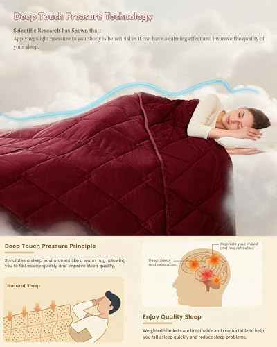 Queen Size Weighted Blanket for Adults 20lbs
