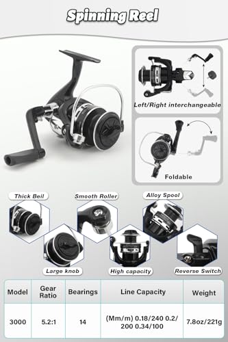 Fishing Pole Combo Set