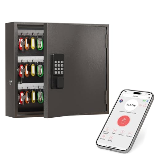 90 Key Lock Box Wall Mount (90 Count)