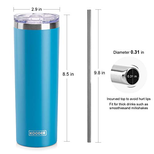 20 oz Tumbler with Lid and Straw (2 Count)