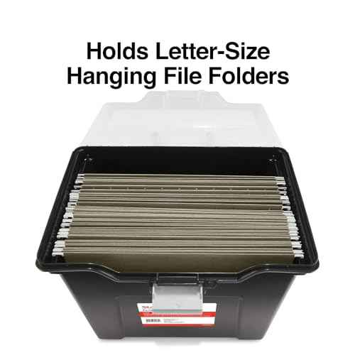 File Box Portable Tote (2 Count)