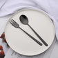 20 Pieces Silverware Set 304 Stainless Steel