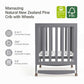 EvoNest 6-in-1 Convertible Baby Mini Crib with Wheels