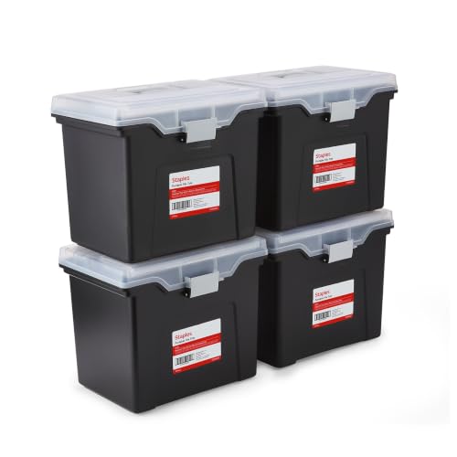 File Box Portable Tote (4 Count)