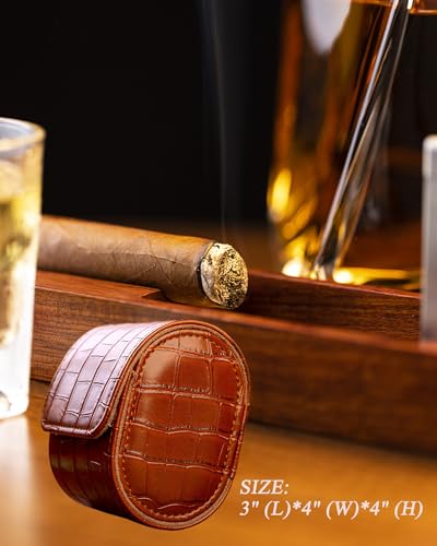 Single Watch Travel Case