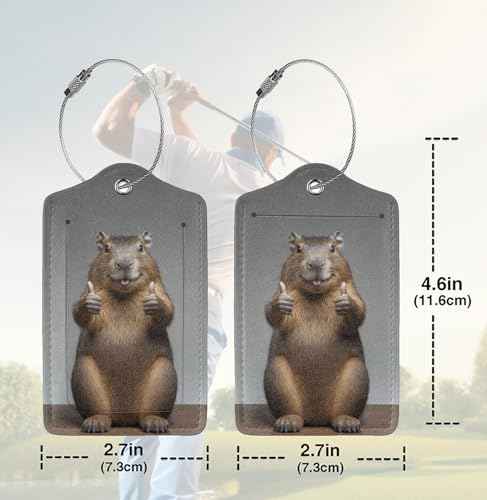 2 Pack Luggage Tags for suitcases Capybara Hamster TSA Approved Label Luggage Tag Baggage Tag Leather Stainless Steel Loop Label Tag for Men Women Travel Bag Suitcase (2 Count)
