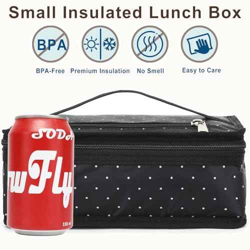 Small Insulated Lunch box Portable Soft Bag Mini Cooler Thermal Meal Tote Kit with Handle for Work