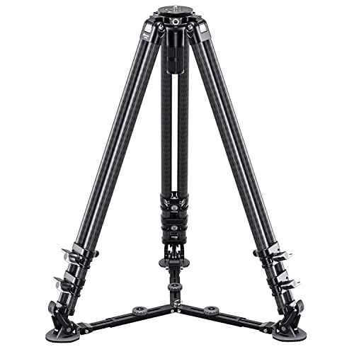 LVC 193C Dual