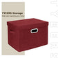Collapsible Storage Bins With Lids (2 Count)