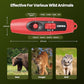 Electronic Air Bear Horn