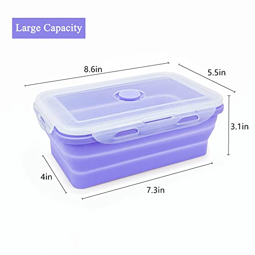 Purple Collapsible Sandwich Container