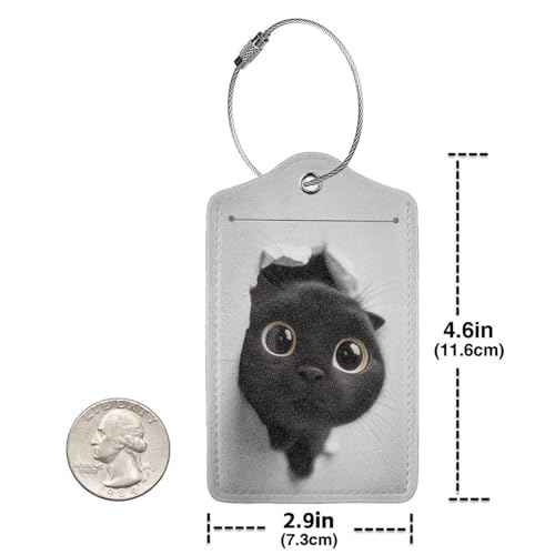 2 Pack Luggage Tags for suitcases Playful Cat TSA Approved Label Luggage Tag Baggage Tag Leather Stainless Steel Loop Label Tag for Men Women Travel Bag Suitcase (2 Count)
