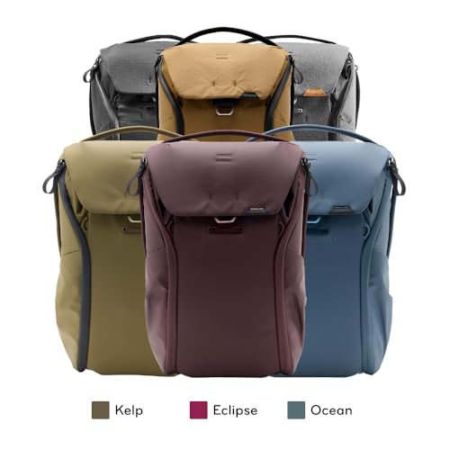 Everyday Backpack 20L