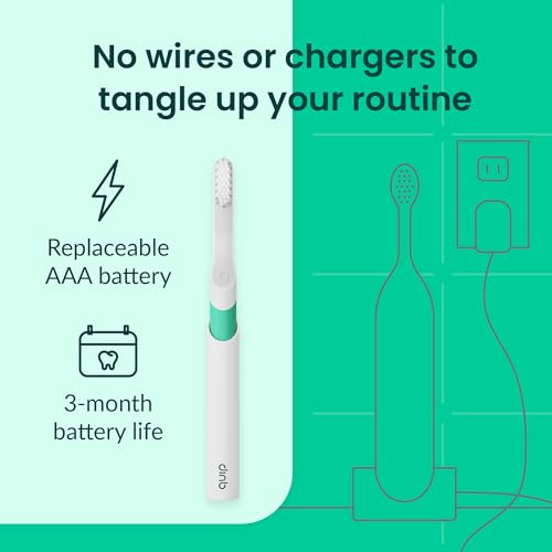 Sonic Toothbrush for Adults with Timer