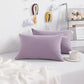 Toddler Pillows (2 Count)