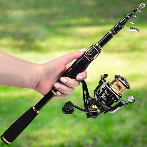 Fishing Rod and Reel Combo