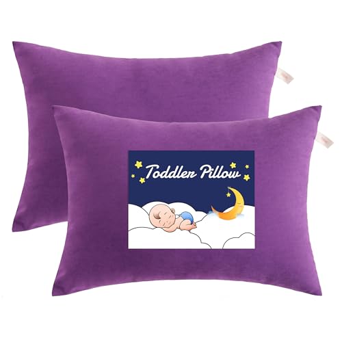 Toddler Pillows (2 Count)