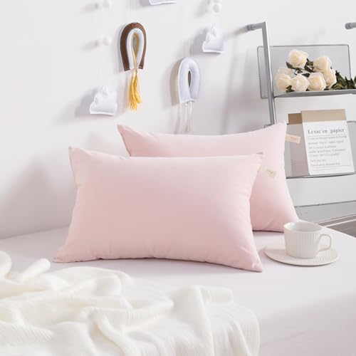 Toddler Pillows (2 Count)