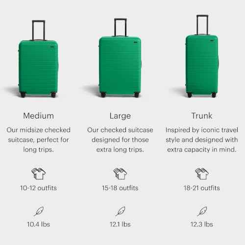 Medium Checked Luggage