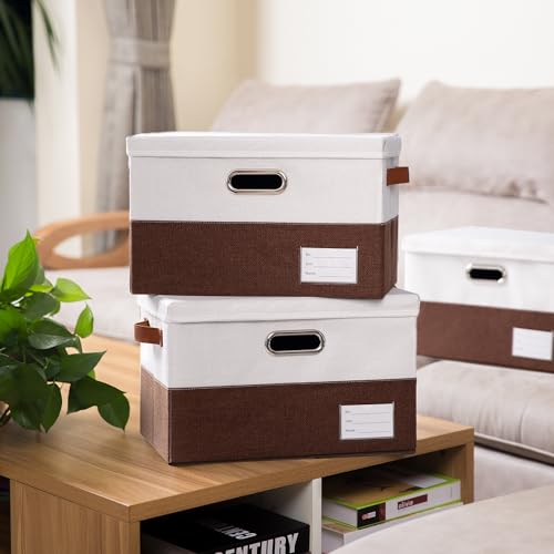 Foldable Storage Bins with Lids [3 (3 Count)