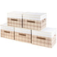Collapsible Storage Bins with Lids (5 Count)