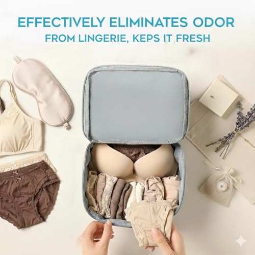 Odor Eliminating Lingerie Pouch