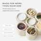 Travel Containers