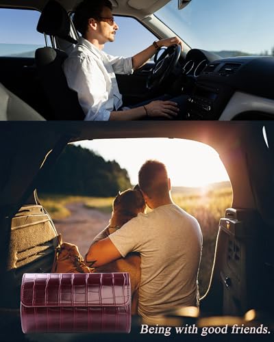 2 Watch Travel Case
