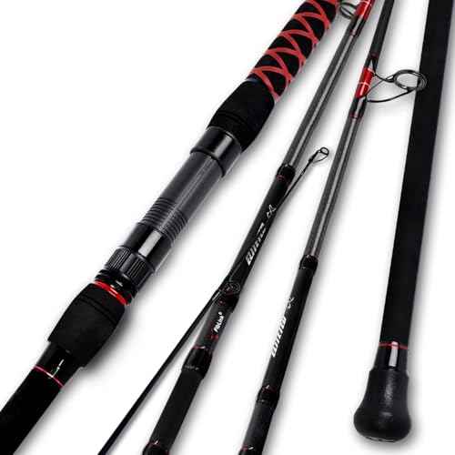 Surf Spinning Fishing Rod 2