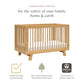 Hudson 3-in-1 Convertible Baby Crib, Honey