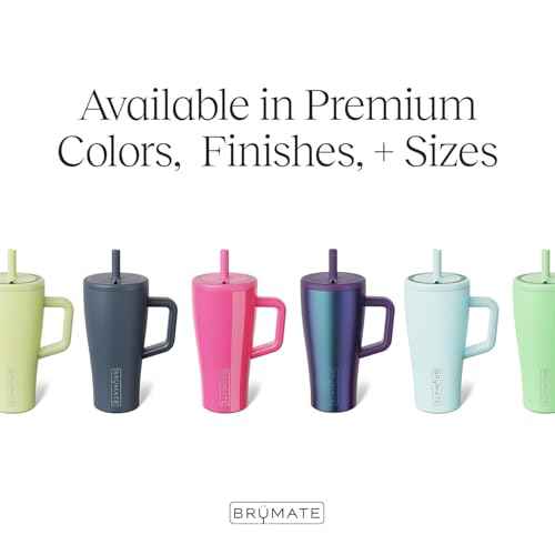 Era 20 oz Tumbler with Handle and Straw